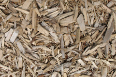 biomass boilers Trevoll